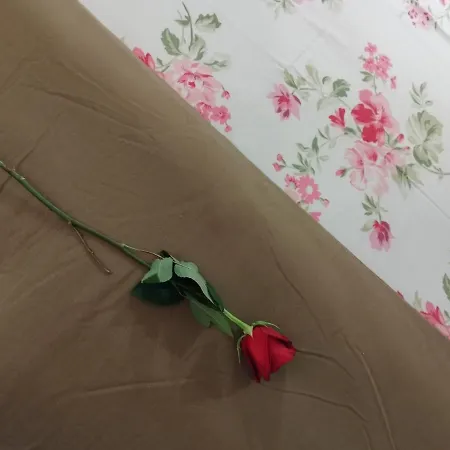 Апартаменты Sunset Dream *